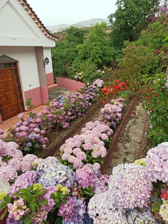 Mar De Flores Веґа-де-Сан-Матео Екстер'єр фото